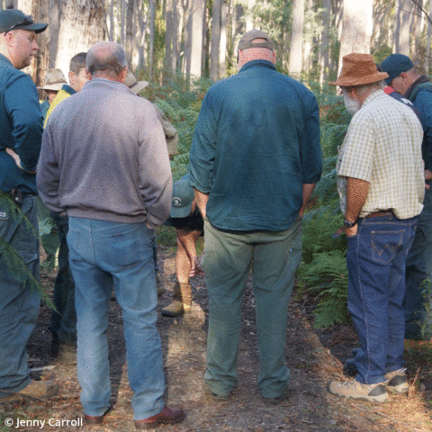 Behaviourally effective communication and engagement in the management of wild dogs