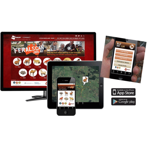 Facilitating community adoption of digital resources - FeralScan