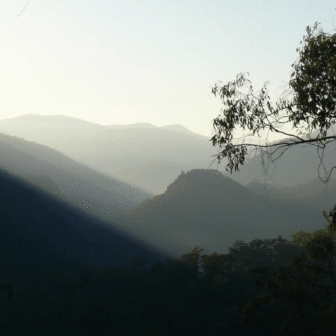 Preparing for Reset Landscape-scale Predator Management - Prep4Reset