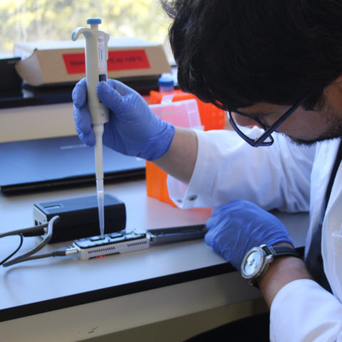 Biosecurity molecular screening using eDNA technology