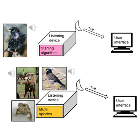 Automated detection: triggering smarter, faster, better response to incursions.