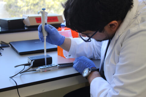 Real time eDNA tools to improve early detection and response approaches for high-risk pest animals