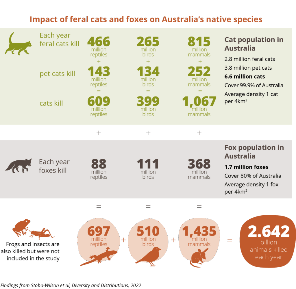 Native species predation: feral cats and foxes.