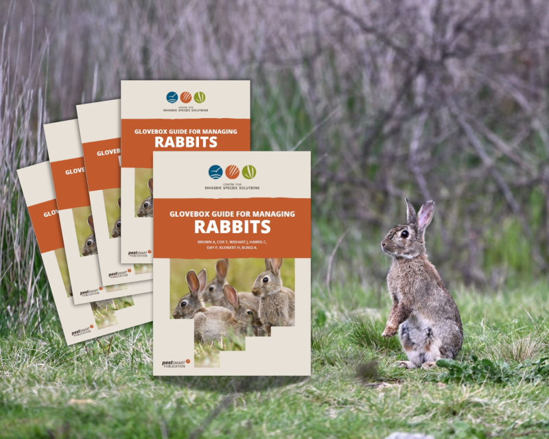 New feral rabbit resource boosts landholders’ control efforts - News ...