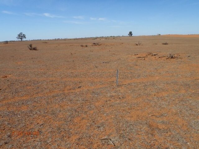 Landscape in April 2015 prior to rabbit management activity. rabbit management