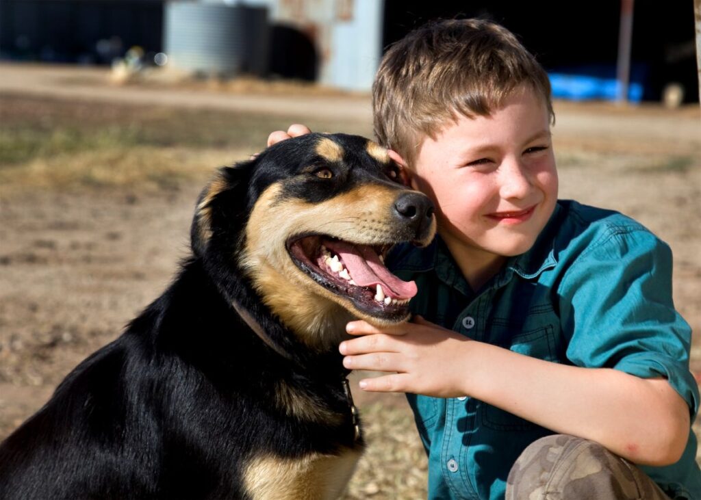working dog